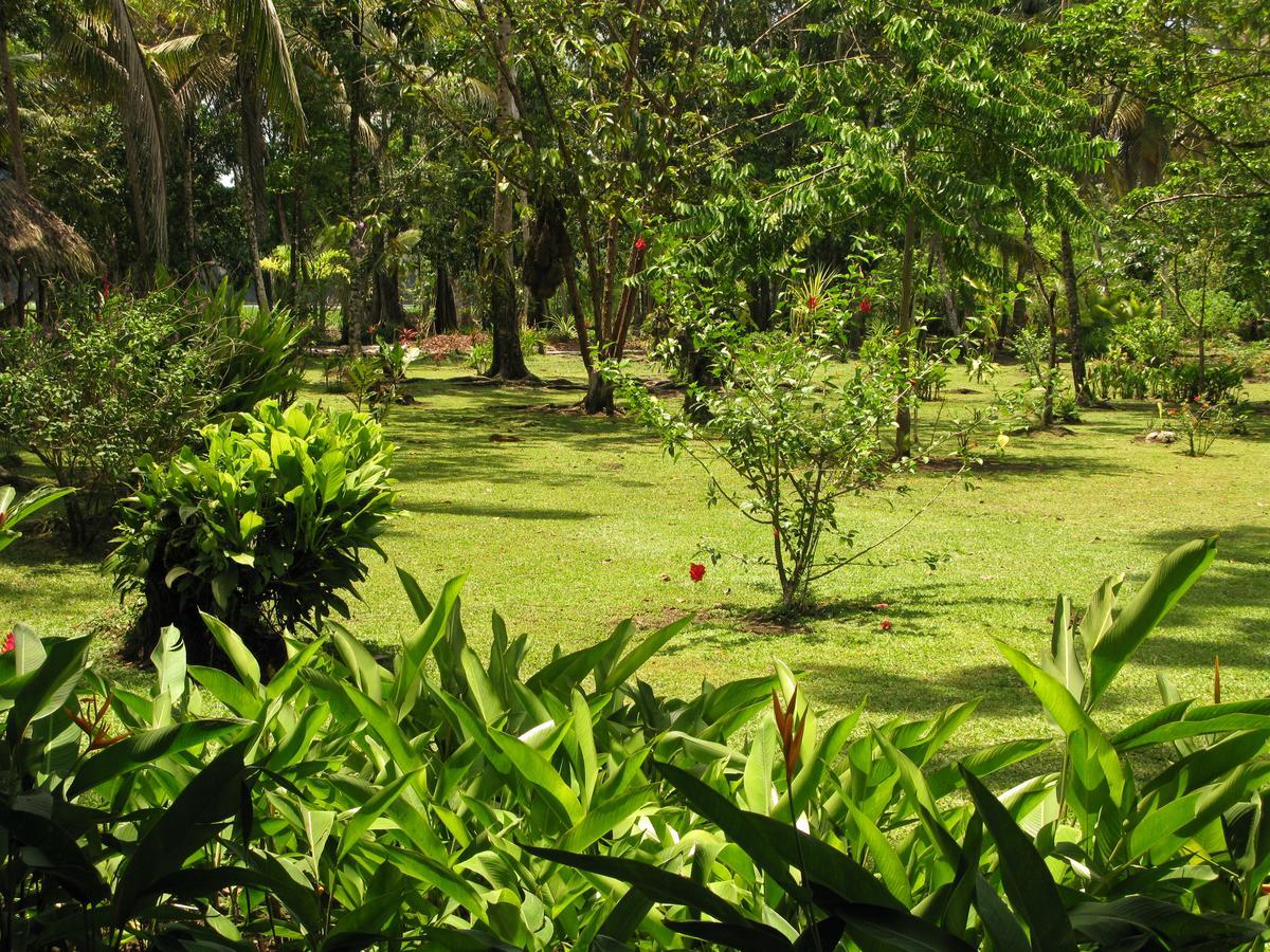 Lirio Lodge Barra de Pacuare Экстерьер фото