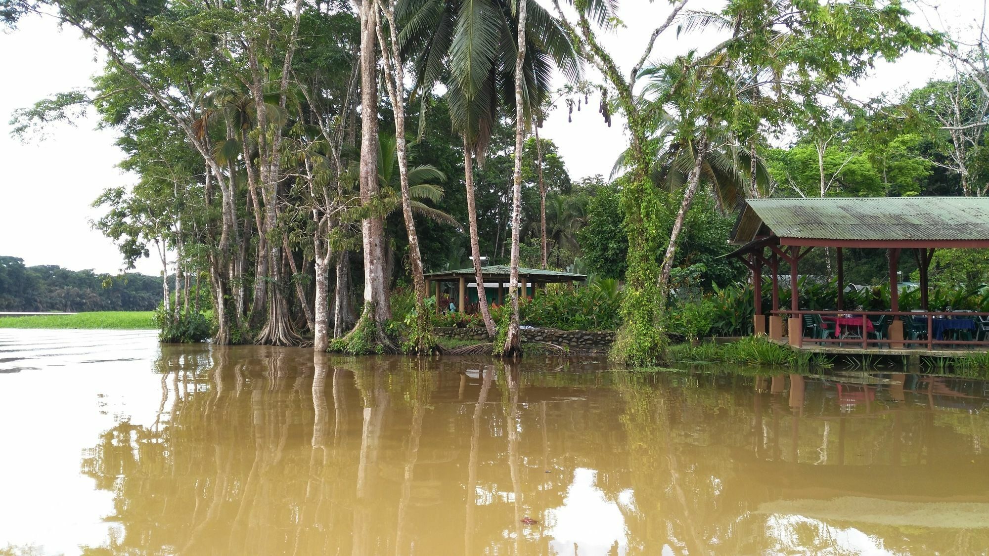 Lirio Lodge Barra de Pacuare Экстерьер фото